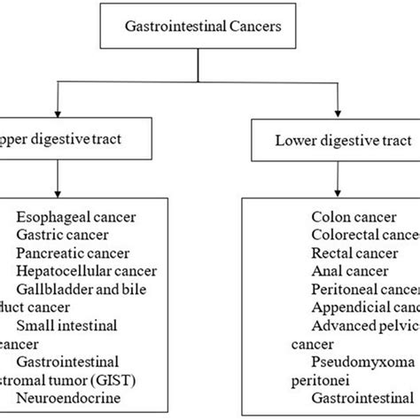 gastrointestinal cancer near hayward|Hayward Gastroenterologists .